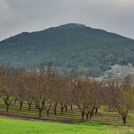 Pearl Of The Valley Hotel Kfar Tavor Esterno foto