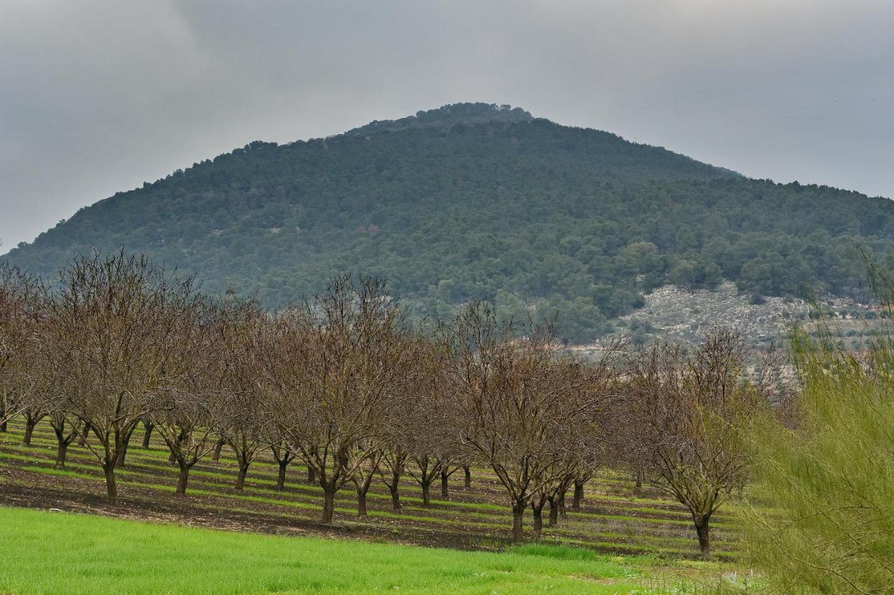 Pearl Of The Valley Hotel Kfar Tavor Esterno foto