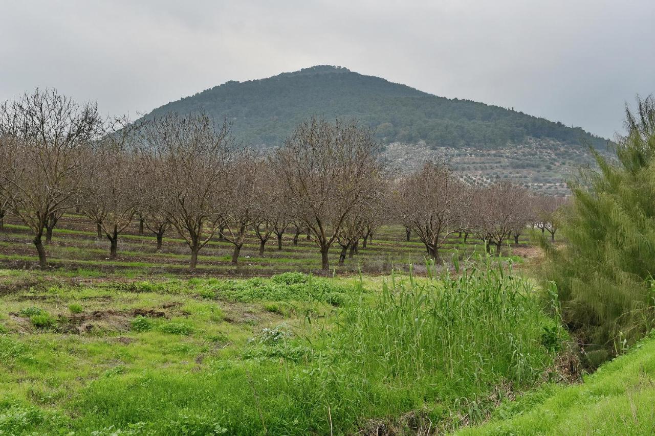 Pearl Of The Valley Hotel Kfar Tavor Esterno foto